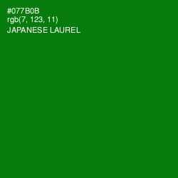 #077B0B - Japanese Laurel Color Image