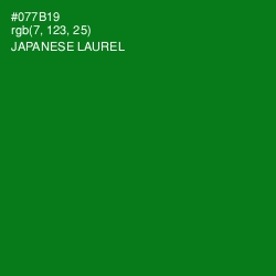 #077B19 - Japanese Laurel Color Image