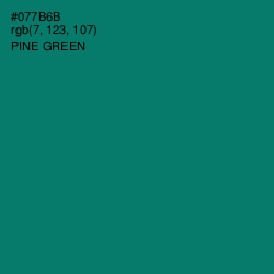 #077B6B - Pine Green Color Image