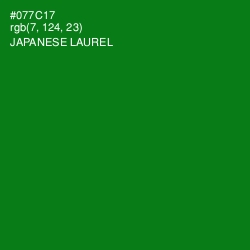 #077C17 - Japanese Laurel Color Image