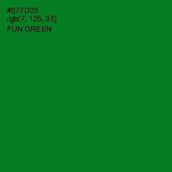 #077D23 - Fun Green Color Image