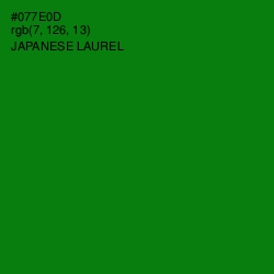 #077E0D - Japanese Laurel Color Image