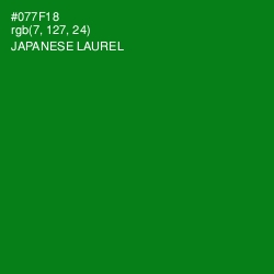 #077F18 - Japanese Laurel Color Image