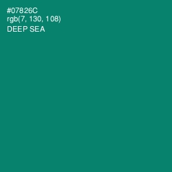 #07826C - Deep Sea Color Image