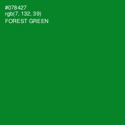 #078427 - Forest Green Color Image