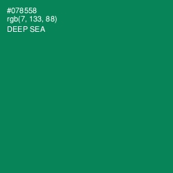 #078558 - Deep Sea Color Image