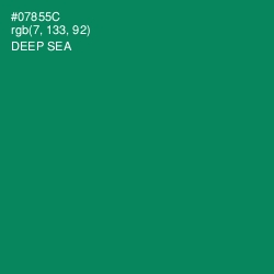 #07855C - Deep Sea Color Image