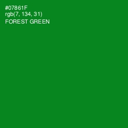 #07861F - Forest Green Color Image