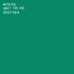 #078763 - Deep Sea Color Image