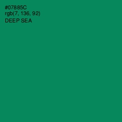 #07885C - Deep Sea Color Image