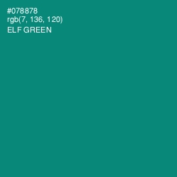 #078878 - Elf Green Color Image