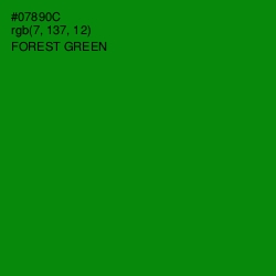 #07890C - Forest Green Color Image