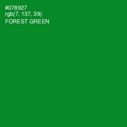 #078927 - Forest Green Color Image