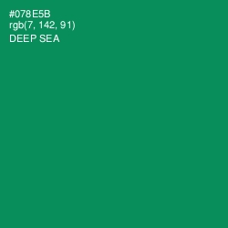 #078E5B - Deep Sea Color Image