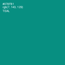 #078F81 - Teal Color Image