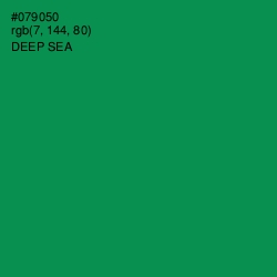 #079050 - Deep Sea Color Image