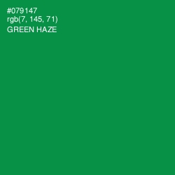 #079147 - Green Haze Color Image