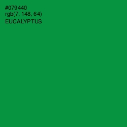 #079440 - Eucalyptus Color Image
