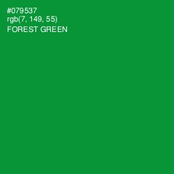 #079537 - Forest Green Color Image