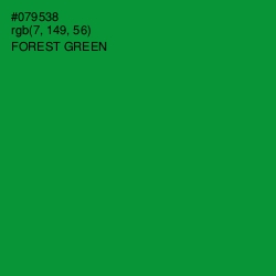 #079538 - Forest Green Color Image