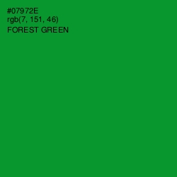 #07972E - Forest Green Color Image