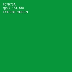 #07973A - Forest Green Color Image