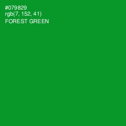 #079829 - Forest Green Color Image