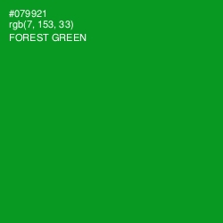 #079921 - Forest Green Color Image