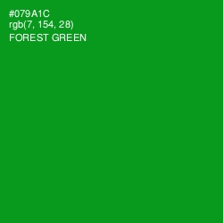 #079A1C - Forest Green Color Image