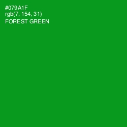 #079A1F - Forest Green Color Image