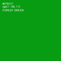 #079C11 - Forest Green Color Image