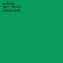 #079C5B - Green Haze Color Image