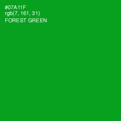 #07A11F - Forest Green Color Image