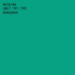 #07A184 - Niagara Color Image