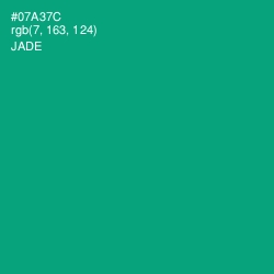 #07A37C - Jade Color Image