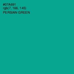 #07A691 - Persian Green Color Image