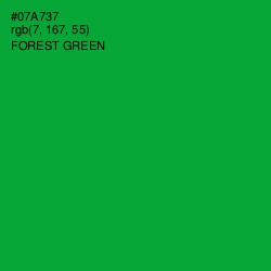 #07A737 - Forest Green Color Image