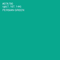 #07A790 - Persian Green Color Image