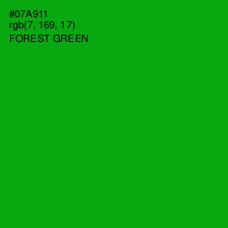 #07A911 - Forest Green Color Image