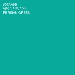 #07AA9B - Persian Green Color Image