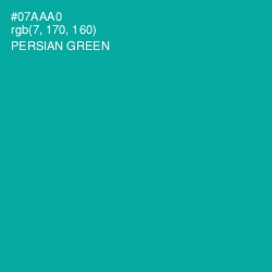 #07AAA0 - Persian Green Color Image