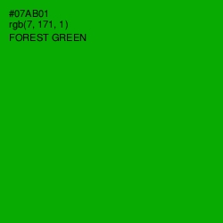 #07AB01 - Forest Green Color Image