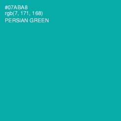 #07ABA8 - Persian Green Color Image