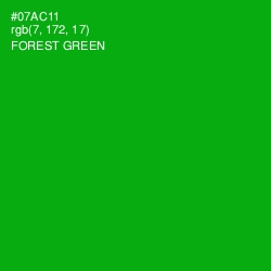 #07AC11 - Forest Green Color Image