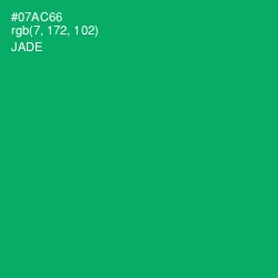 #07AC66 - Jade Color Image