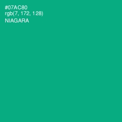 #07AC80 - Niagara Color Image