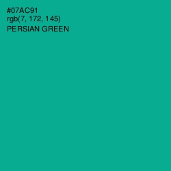 #07AC91 - Persian Green Color Image