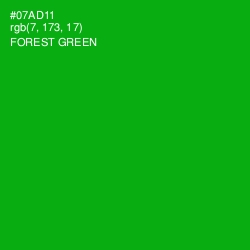 #07AD11 - Forest Green Color Image