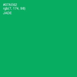 #07AE62 - Jade Color Image