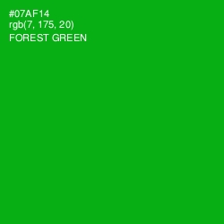 #07AF14 - Forest Green Color Image
